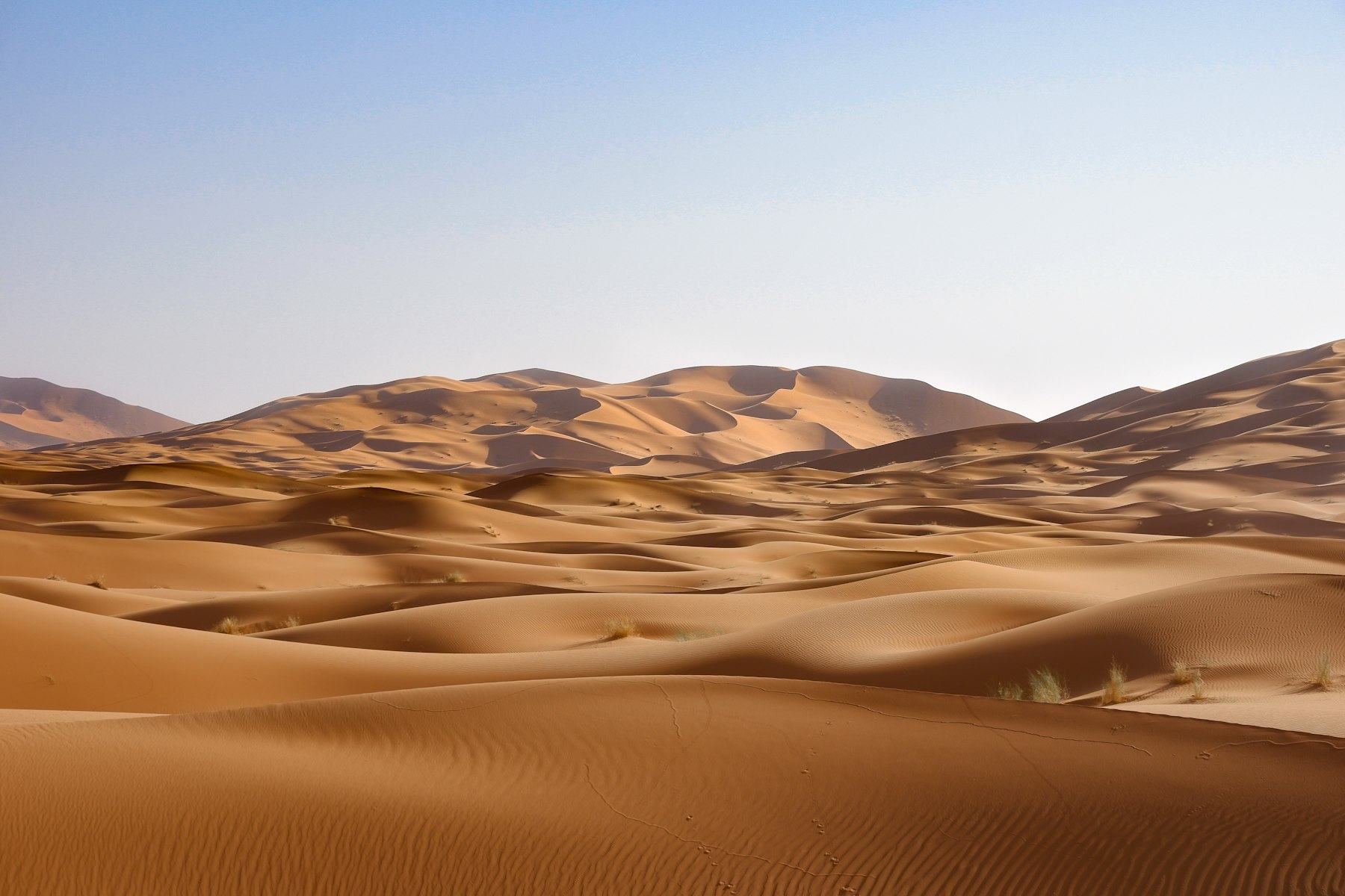 Dunes et ciel clair au lever du jour